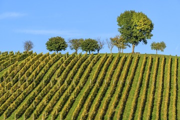 DSC_4112.jpg