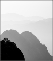 DSC_1181-编辑-1