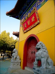 DSC04322-编辑-1