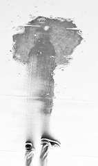 DSC05374-2