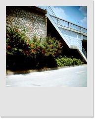 夏天（3）