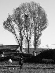 DSC00084-2