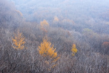 DSC0069_2k