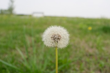 C8434D15-407B-4909-9D85-36E07D720B6D/L0/001