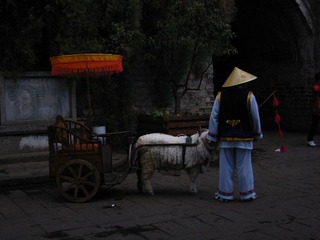 IMG_0212.JPG