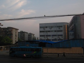 IMG_0861.JPG