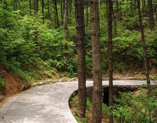 山中一撇