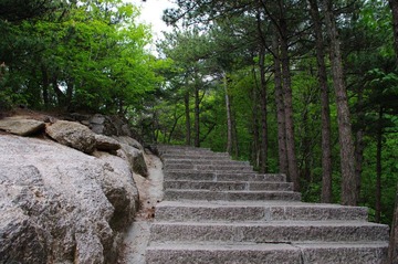 山中一撇
