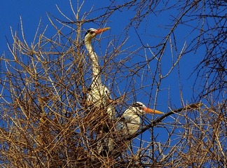 DSCF4016_