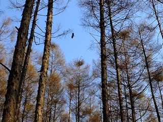 DSCF4029_