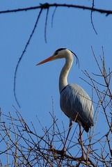 DSCF4035_