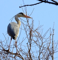 DSCF4038_