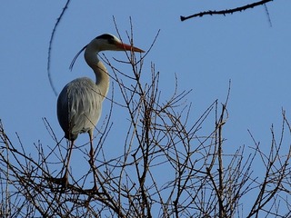 DSCF4039_