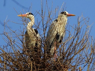 DSCF4050_