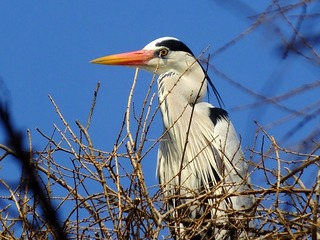 DSCF4063_