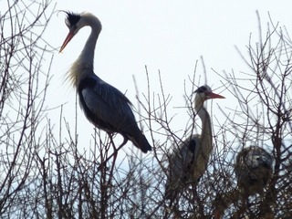 DSCF4073_
