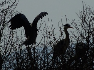 DSCF4074_