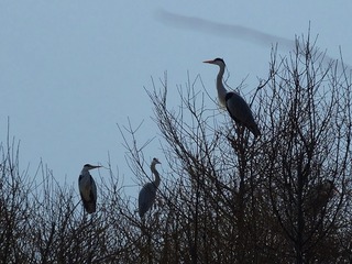 DSCF4076_