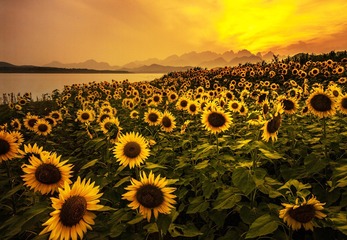 狼牙山暮色
