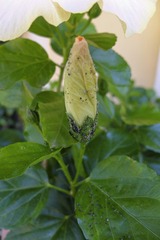 IMG_20141120_164650 2