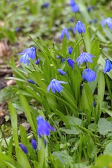IMG_20140323_111709