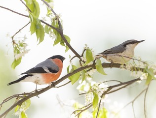 IMGP9780__2