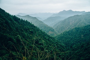 _DSC0855