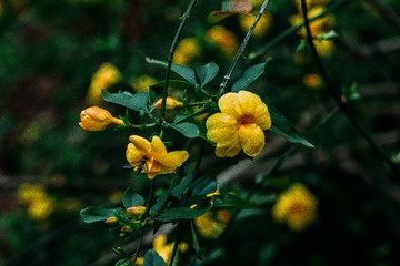 _DSC1297