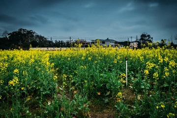 _DSC1532