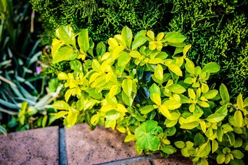 _DSC2275