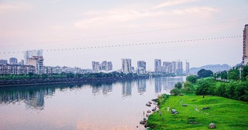 _DSC3135