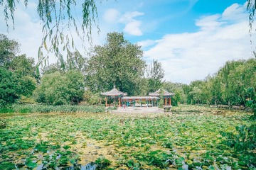_DSC2875
