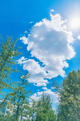 _DSC7490
