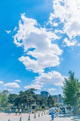 _DSC7492