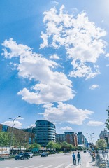 _DSC7493