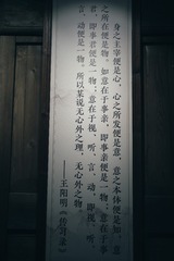DSC08106