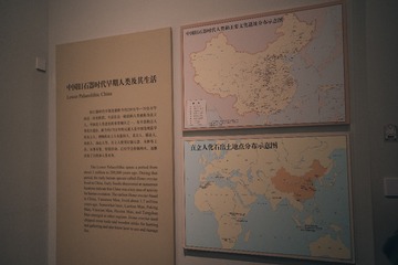 DSC04510