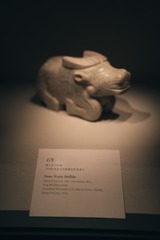 DSC04595