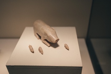 DSC04700