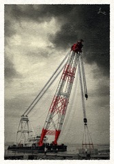 2055-5