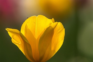 _DSC0889-1