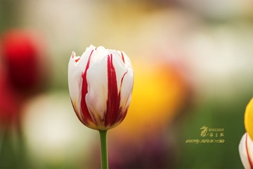_DSC0901