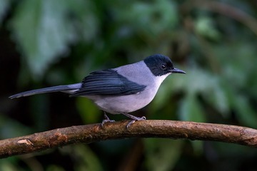 _DSC5476