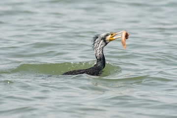 _DSC0280