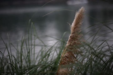 IMG_7126.JPG