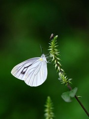 IMG_6896.JPG