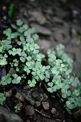 IMG_7058.JPG
