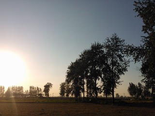 WP_001898