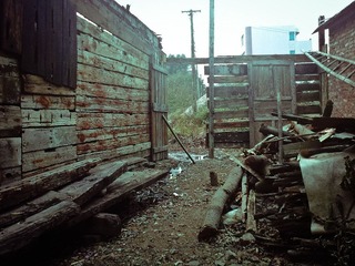 201102071325.jpg