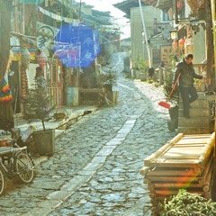 DSC_2961.jpg